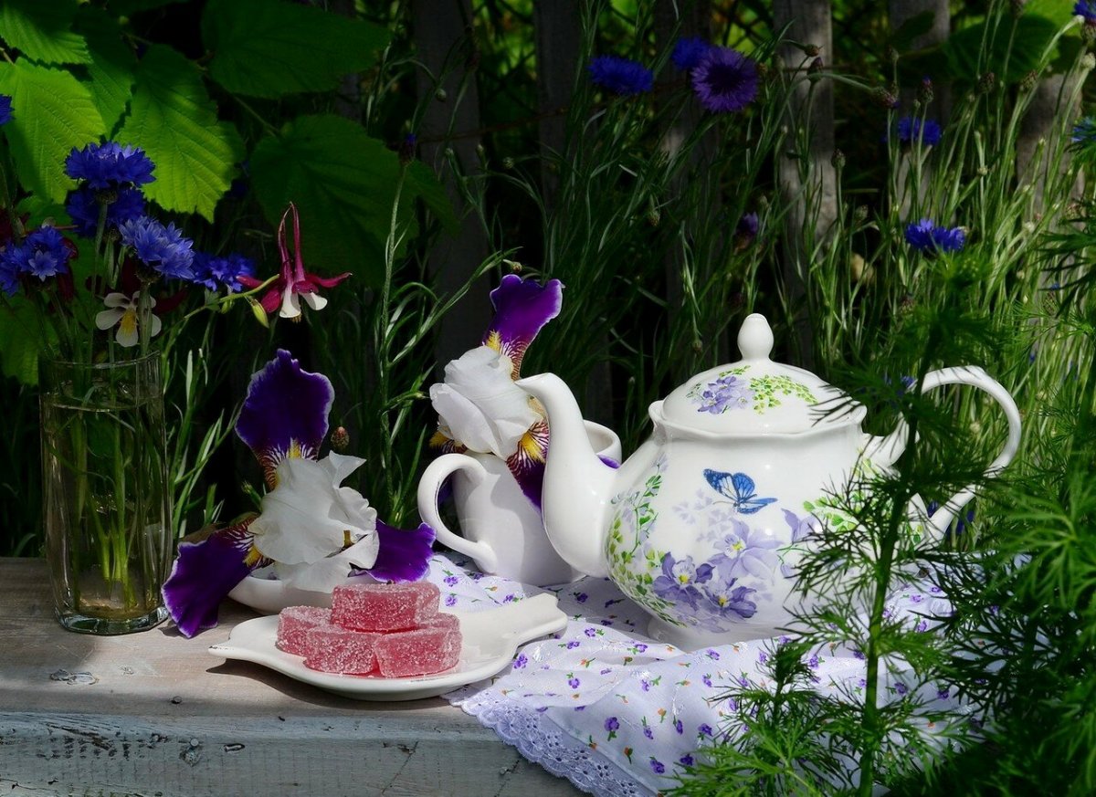 Обои чаепитие в саду