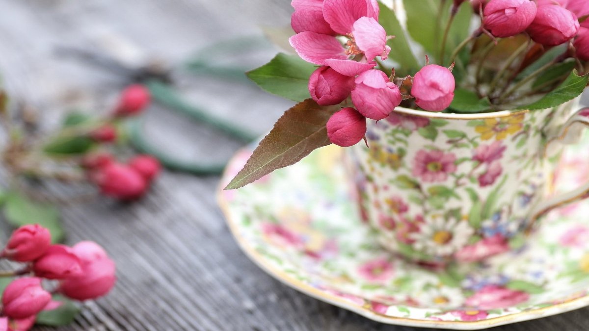 Нежные цветы в чашке