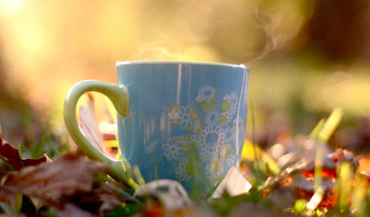 Солнечный чай