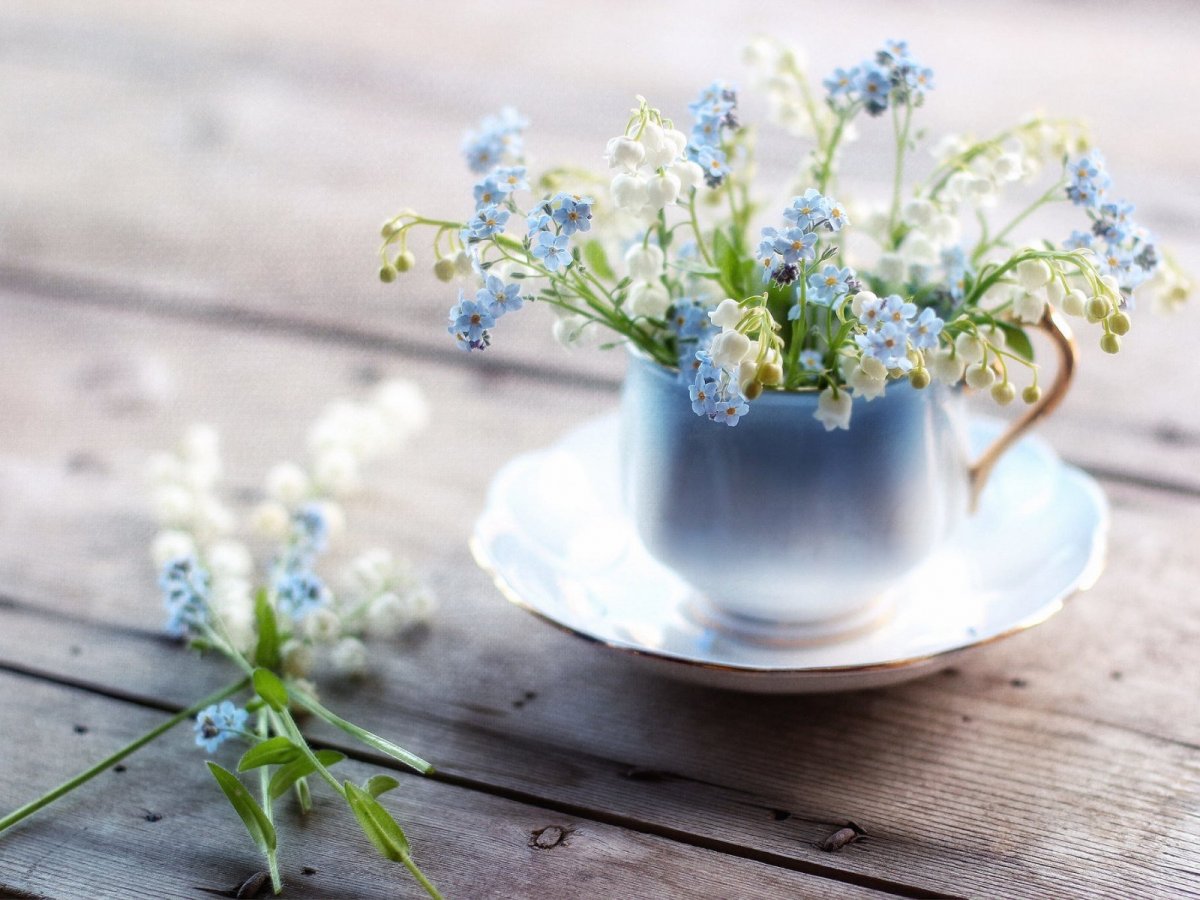 Весенняя нежность