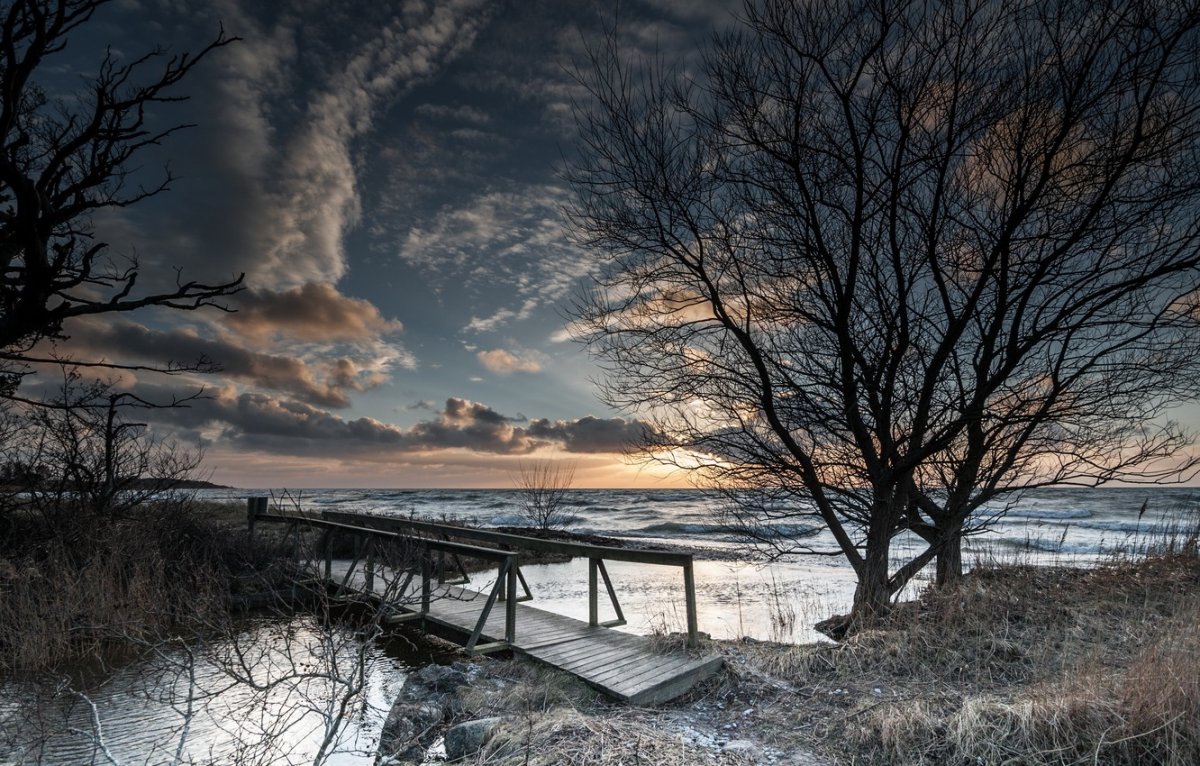 Одинокий пейзаж