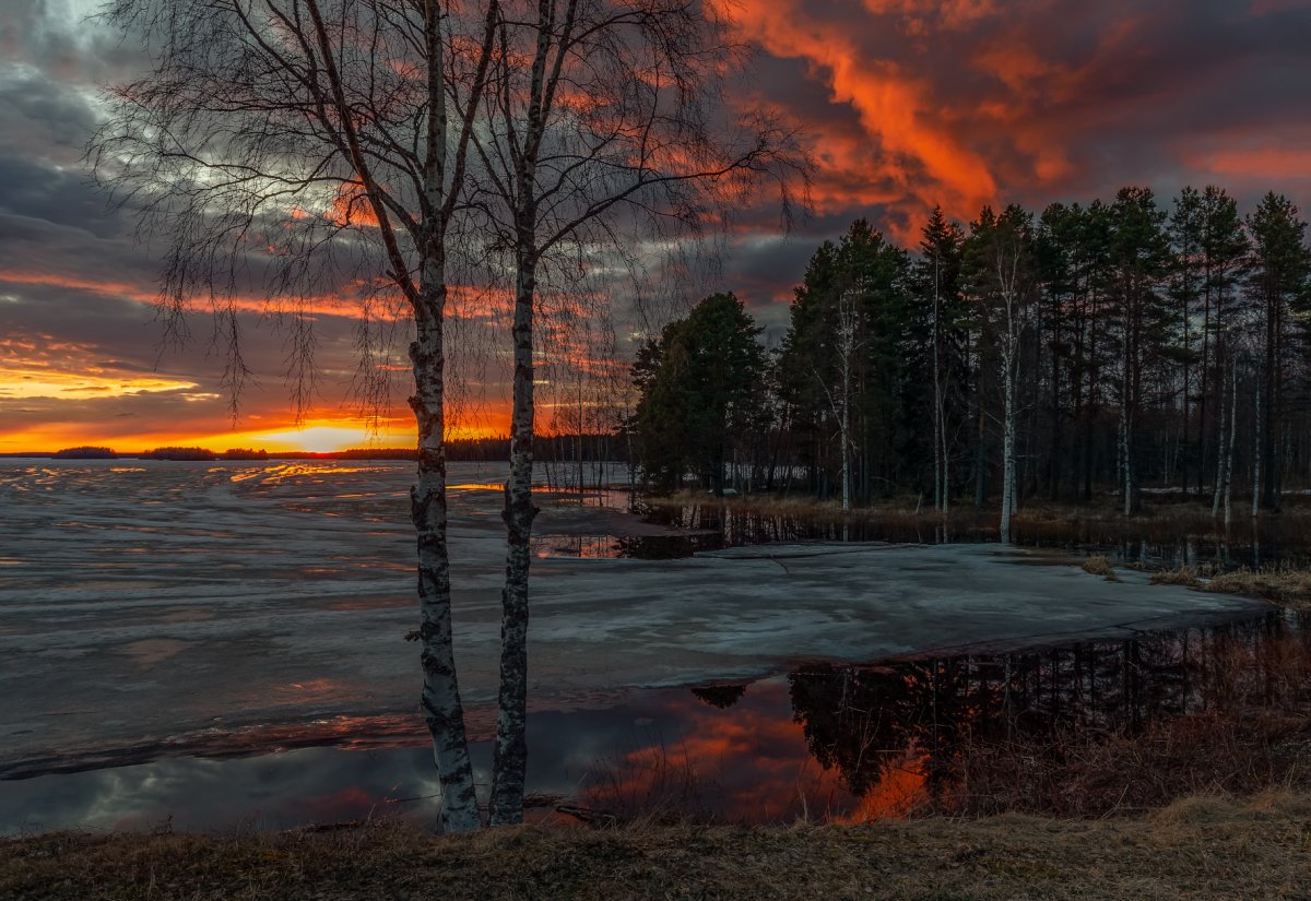 Пейзаж весенний вечер