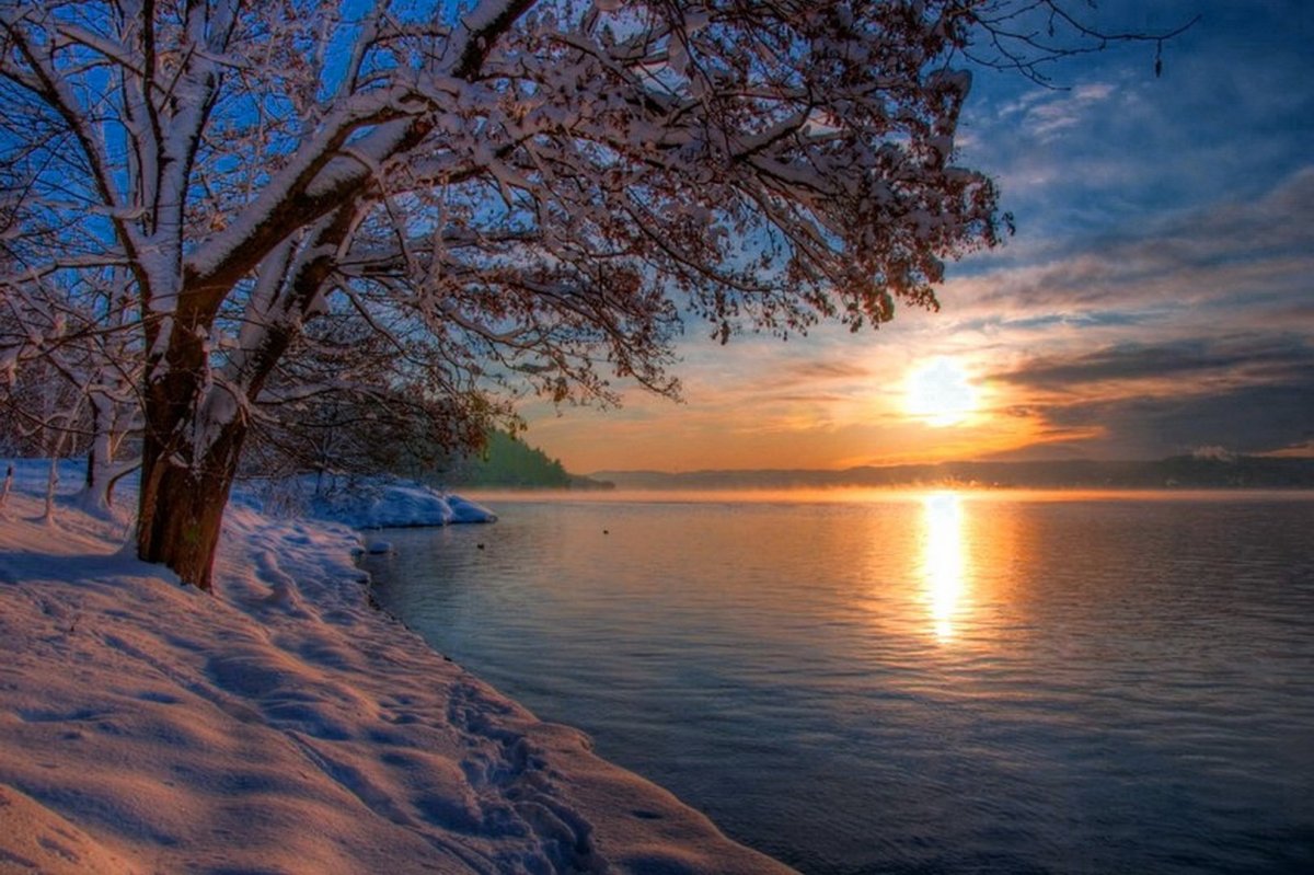 Берег реки зимой