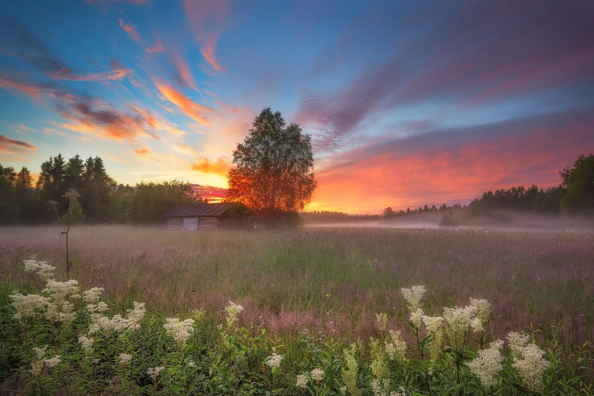 Пейзаж Заря