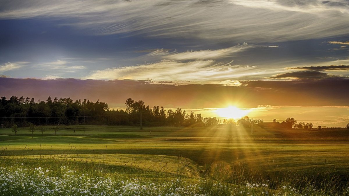 Восход над полем