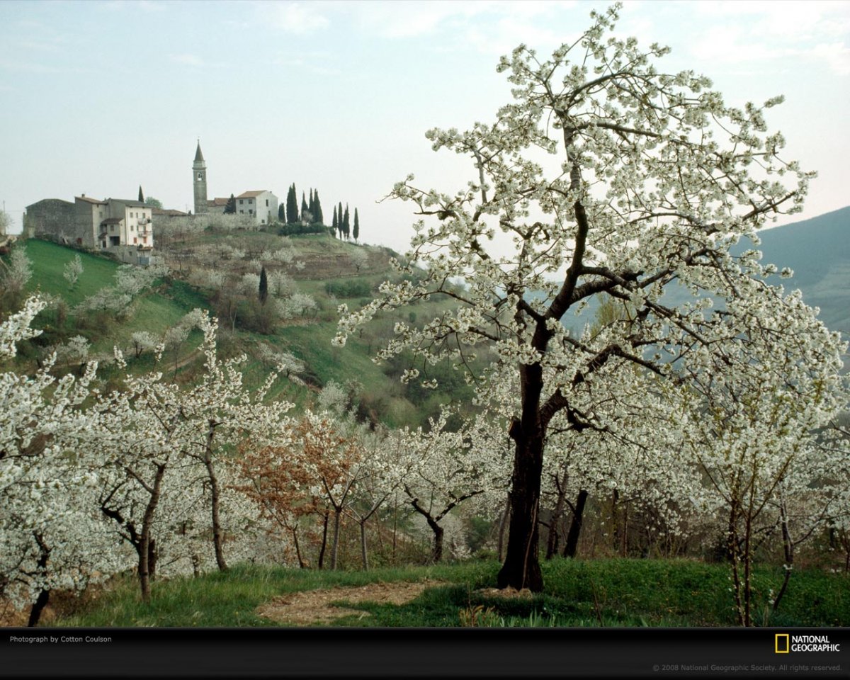 Цветущие сады Италии