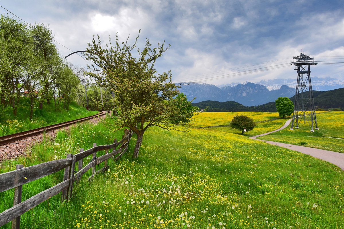 Италия весной луг