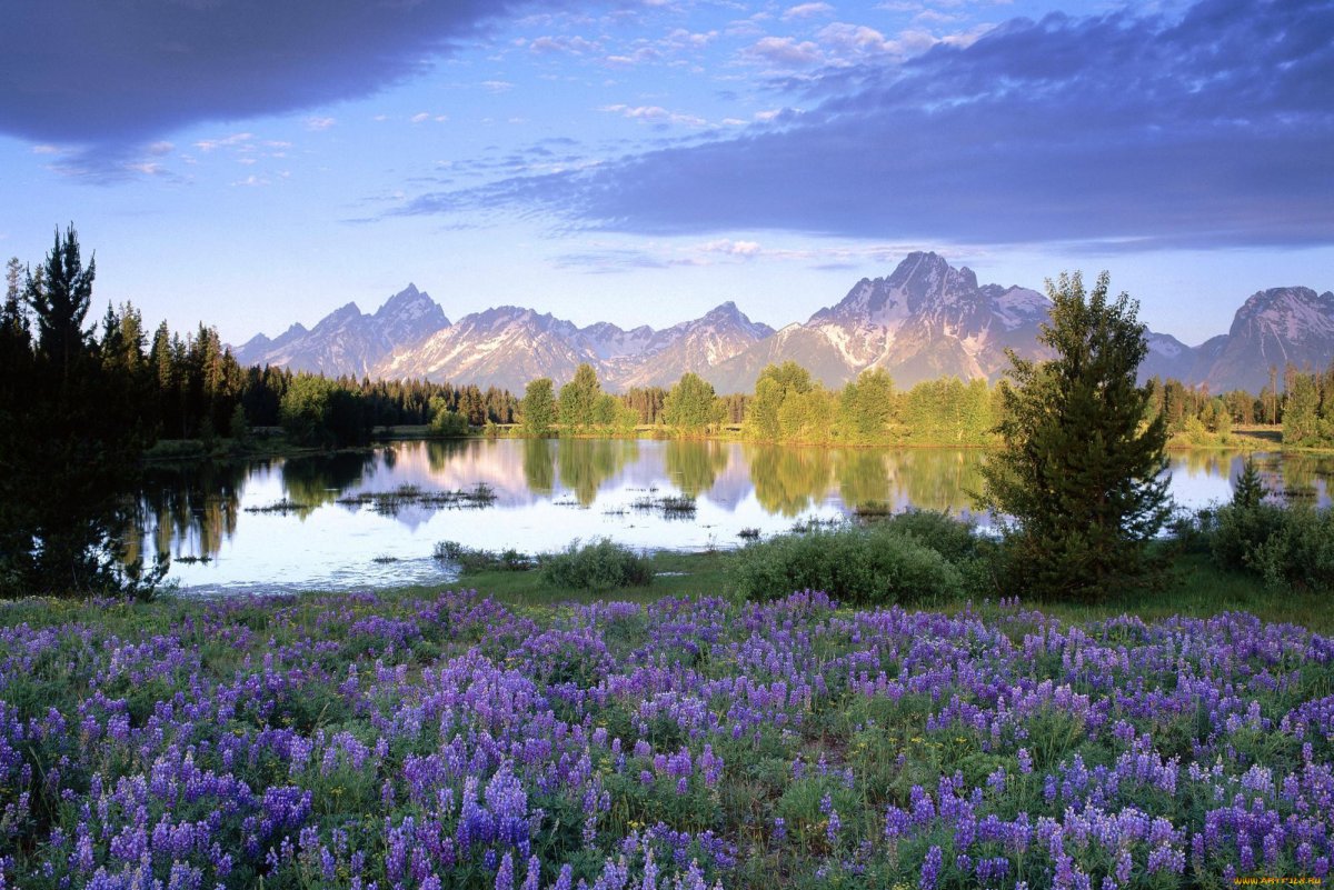 Красивый пейзаж