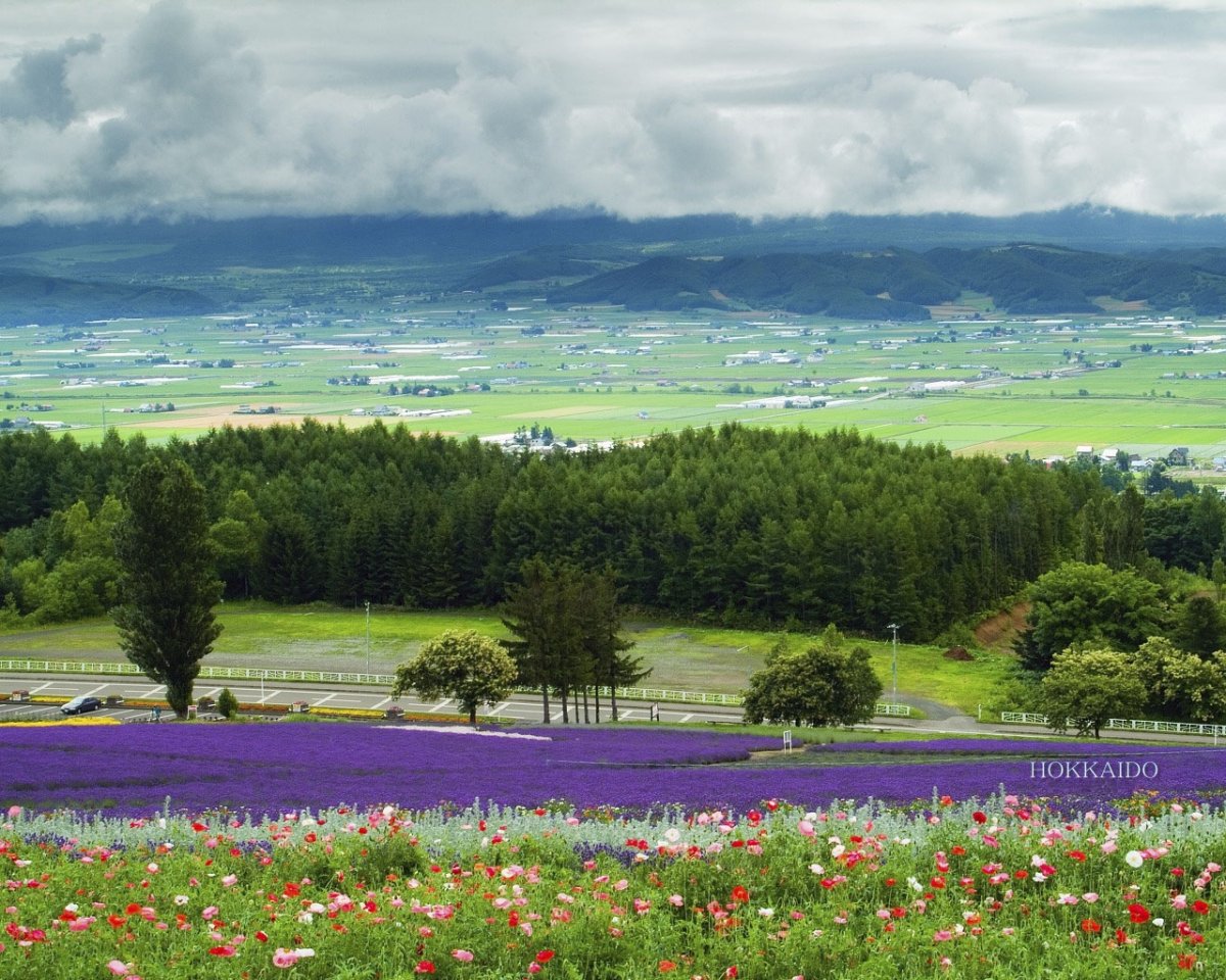Остров Хоккайдо пейзаж