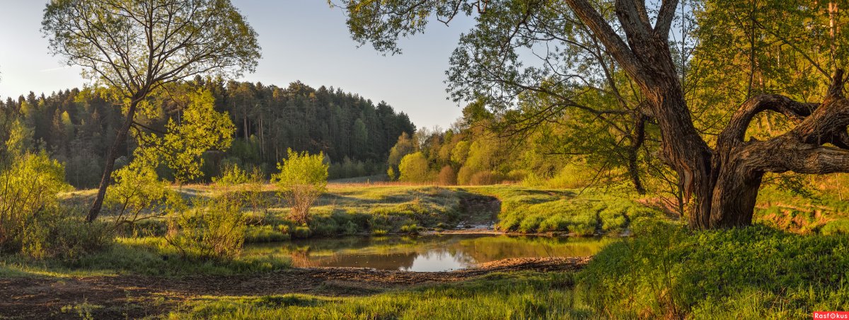 Пейзаж панорама