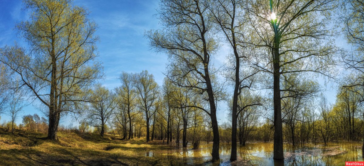 Ранняя Весна панорама