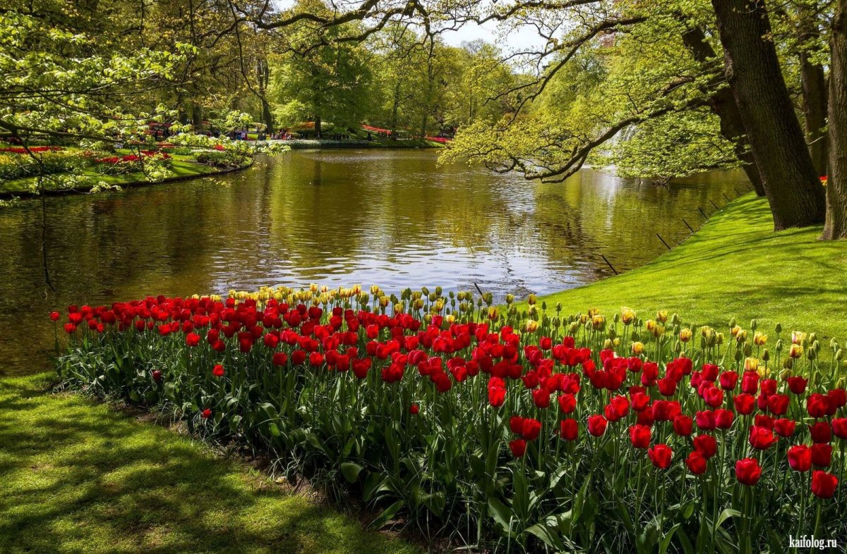 Реки в цветах