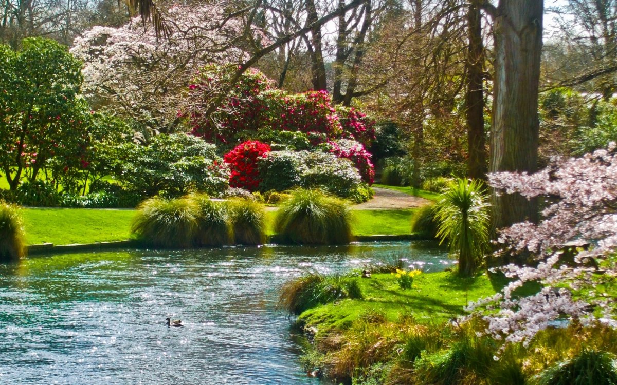 Цветущие сады и парки