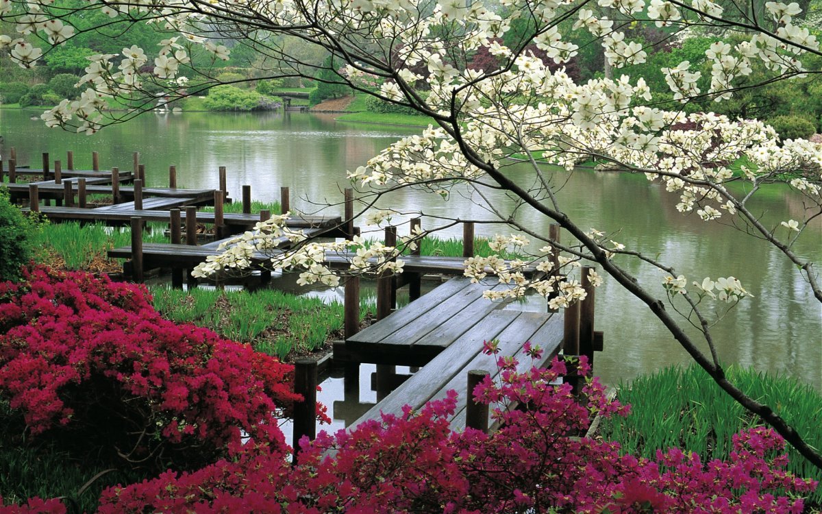 Телевизор Saturn led 19k New 19"