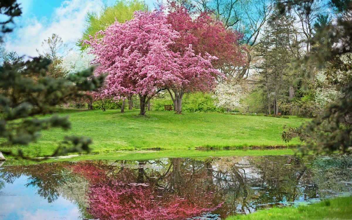 Весенний пейзаж