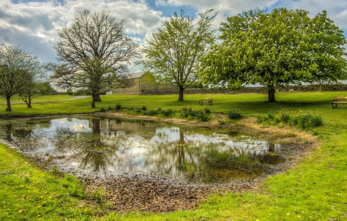 Возрождение природы весной