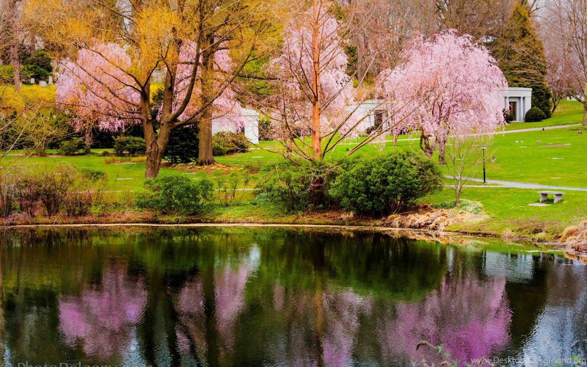 Весенний пейзаж для рабочего стола компьютера