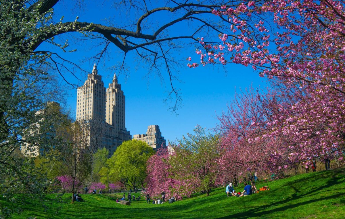 Центральный парк Нью-Йорк