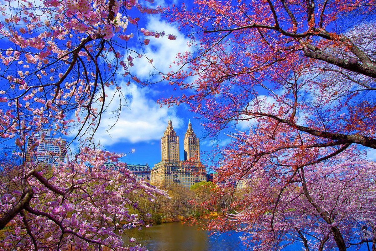 Центральный парк Нью-Йорк весной