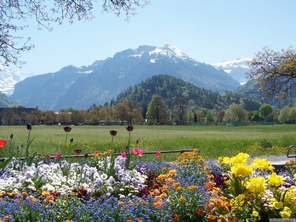 Альпы Австрия весной