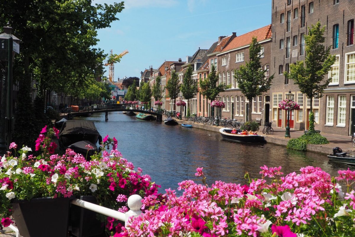 Южная Голландия Нидерланды