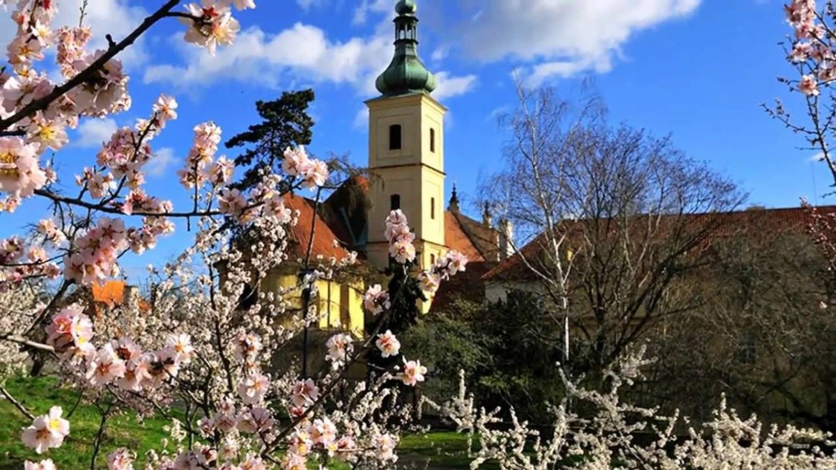 Чехия Прага весной