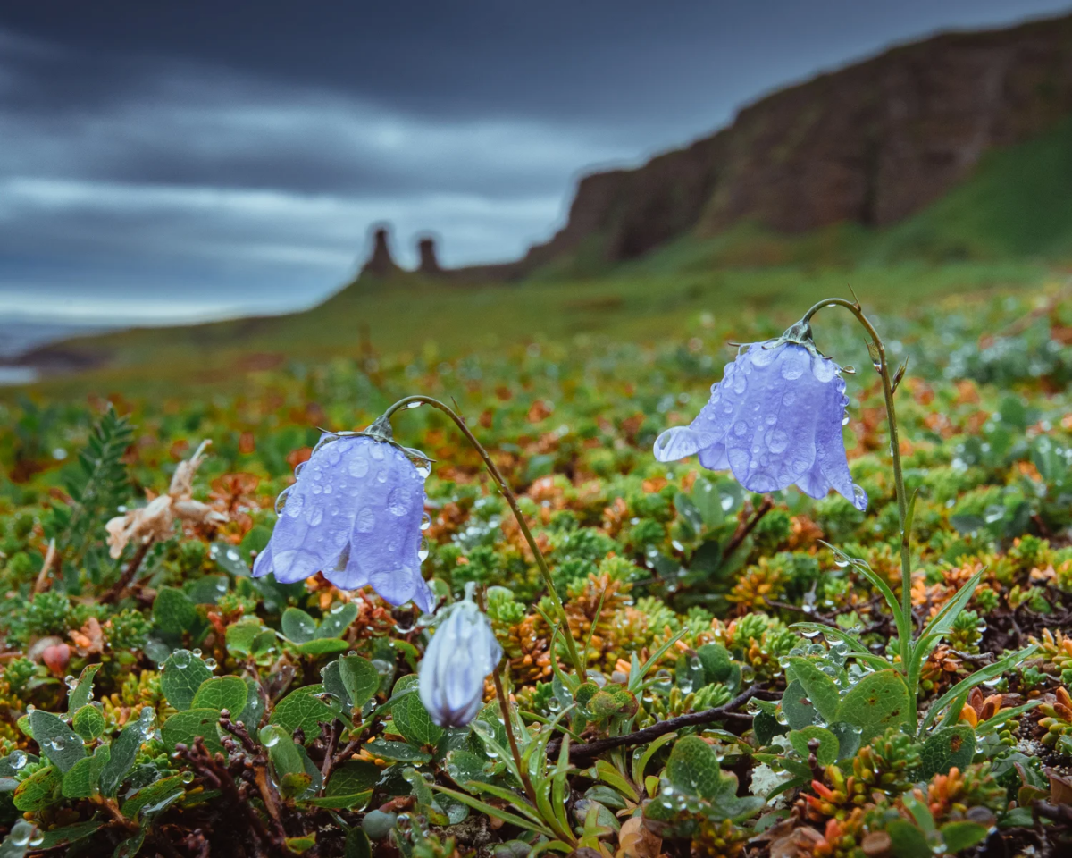 Природа Кольского полуострова