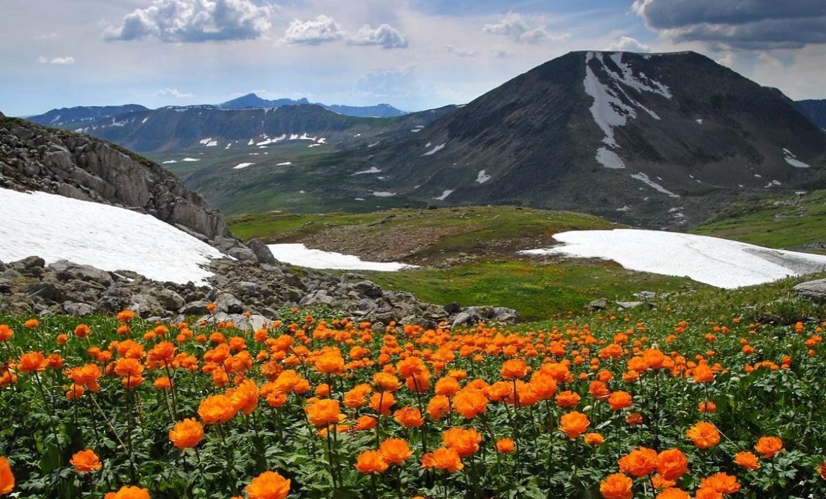 Сибирские Альпы Алтай