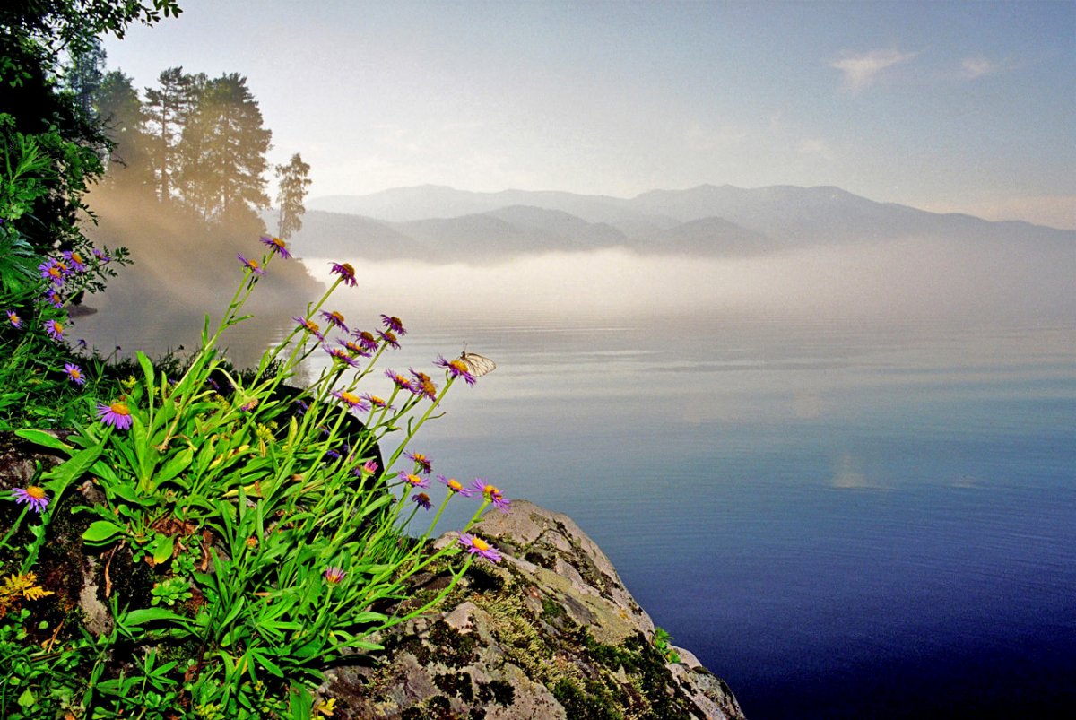 Весенний пейзаж Телецкое озеро