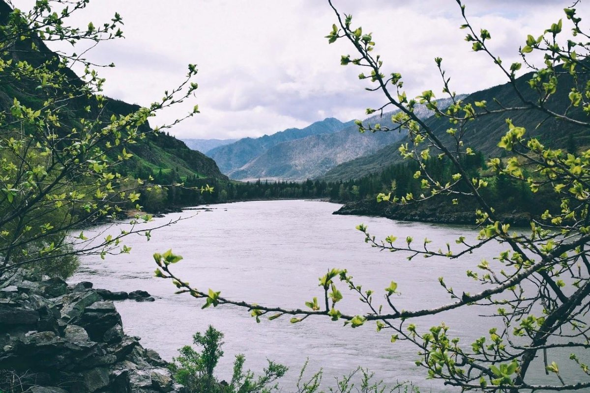 Горный Алтай весной