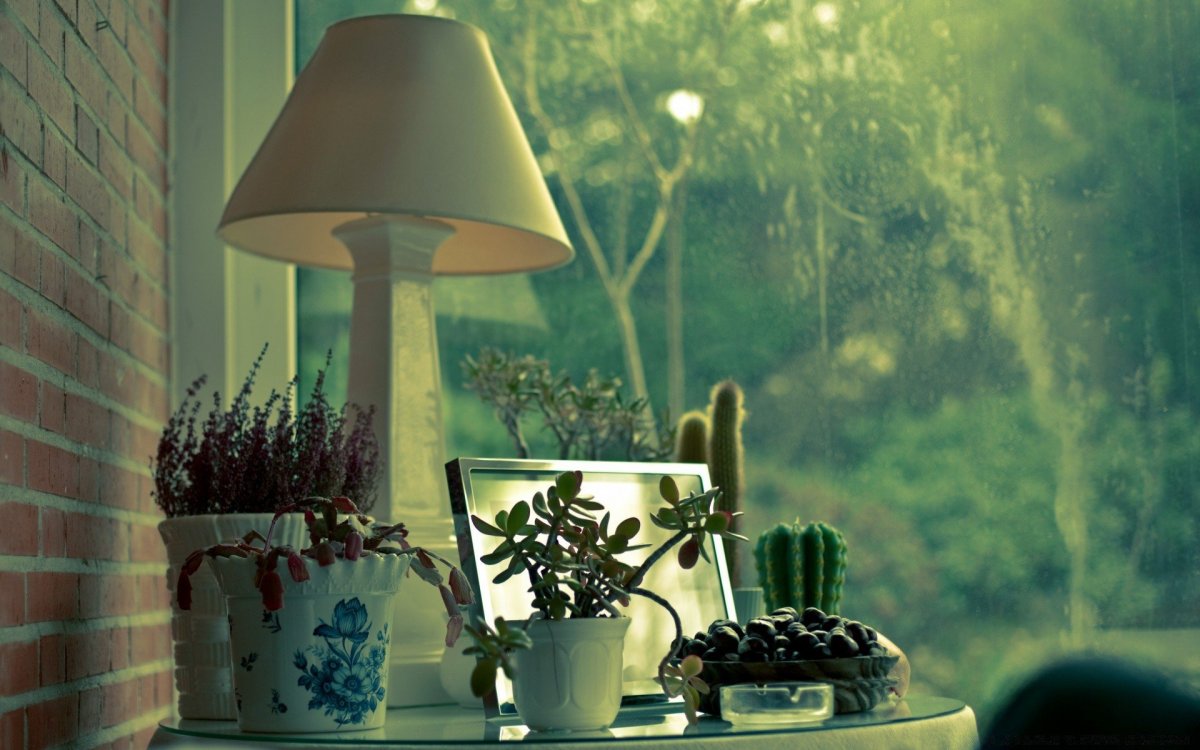 Открытое окно