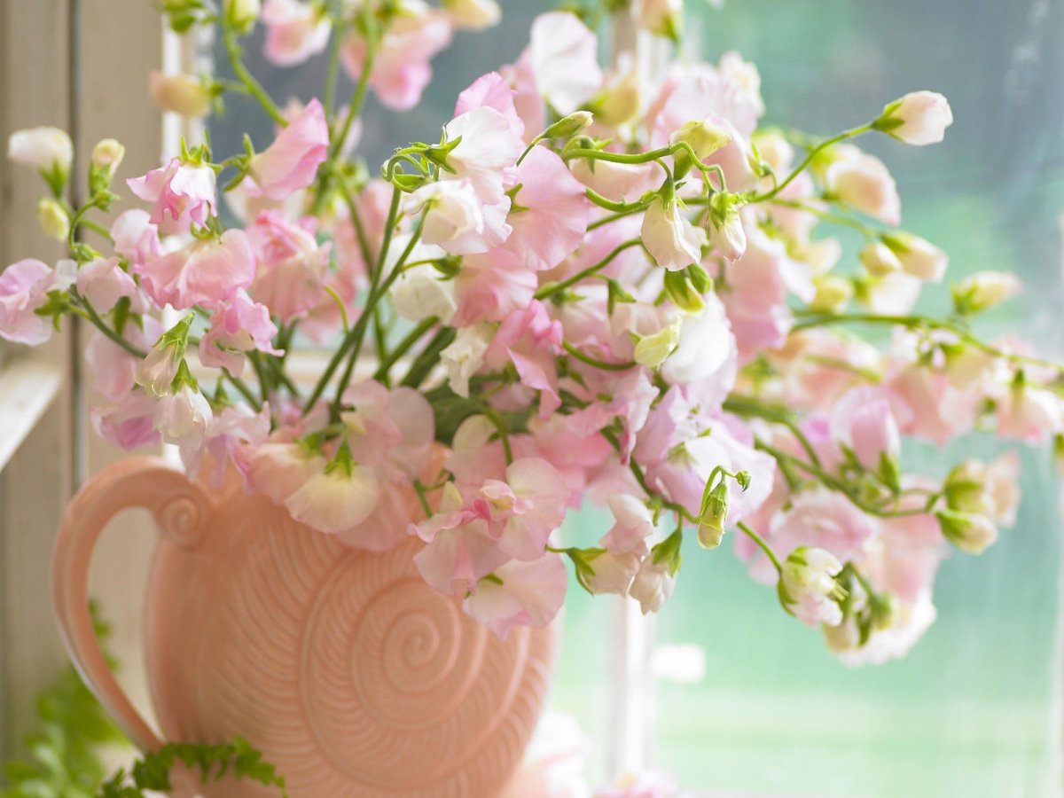 Весенние цветы фрезия