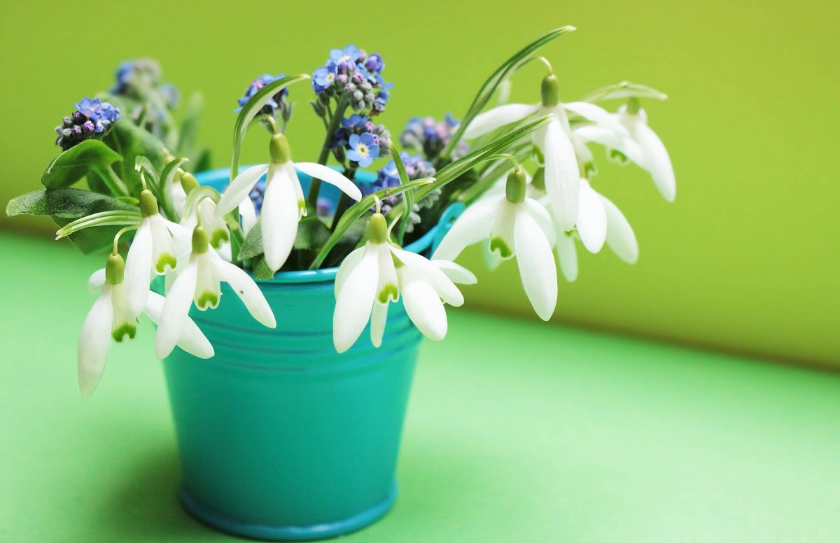 Фотонатюрморты с ландышами