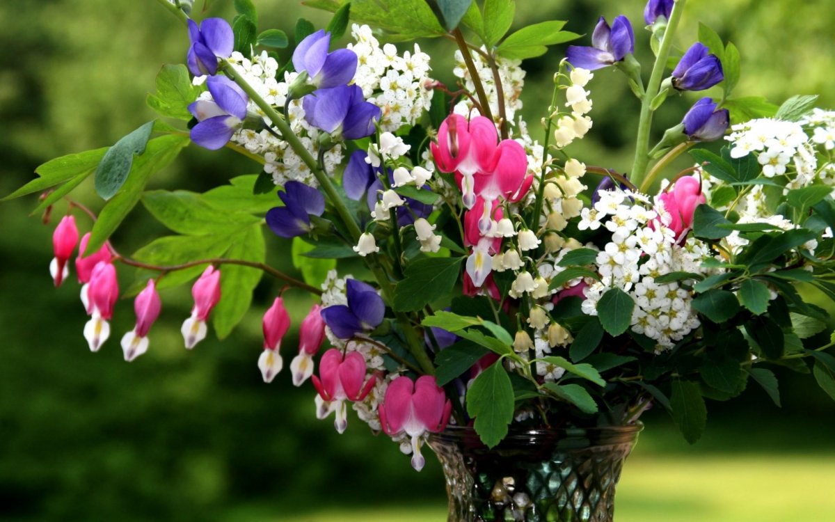 Композиции с нарциссами