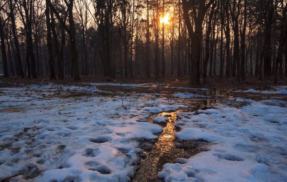 Ручьи весной