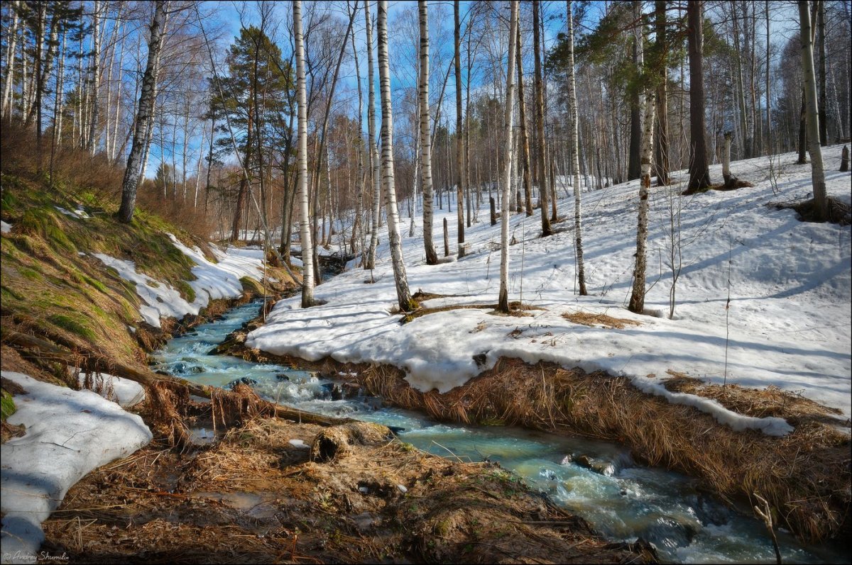 Изборск Весна