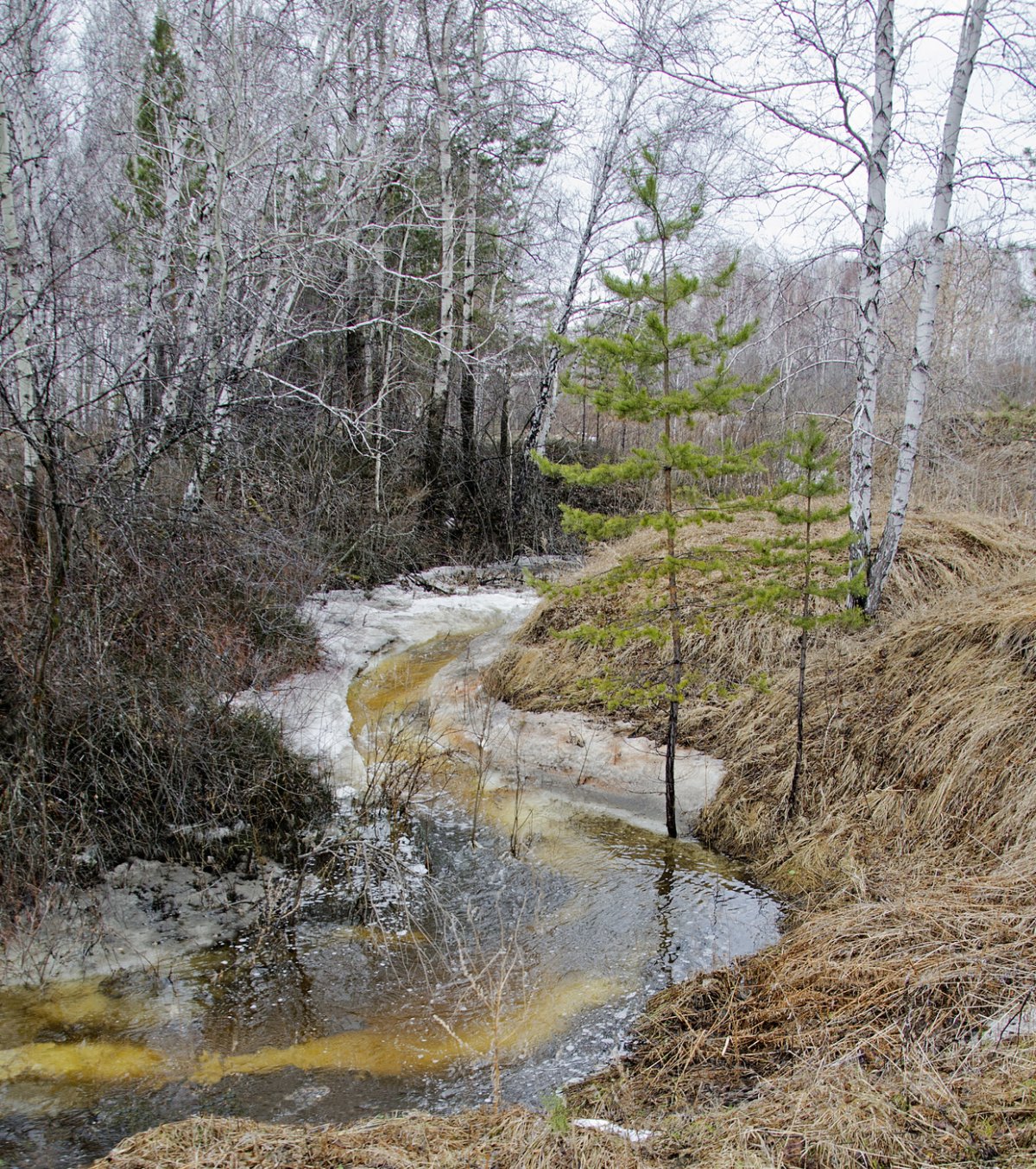 Ручьи весной