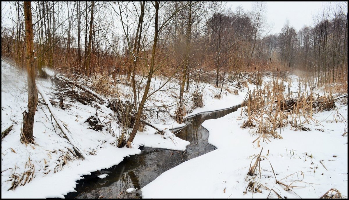 Сезонный ручей
