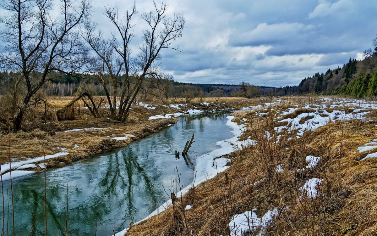 Река Пестуница