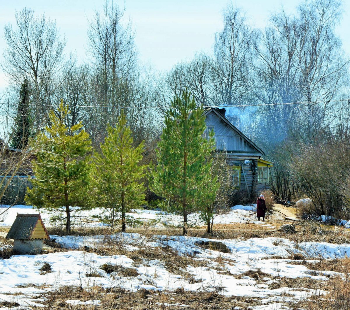 Лесная река зимой