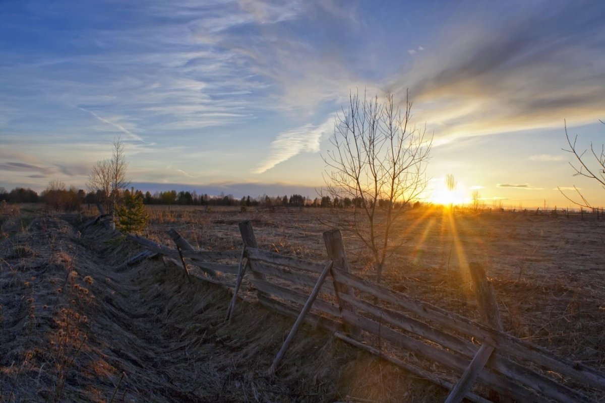 Русская природа