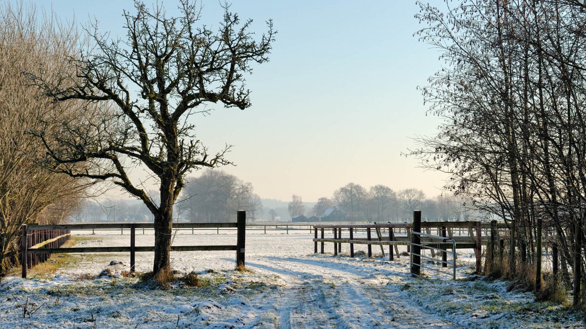 Деревня весной