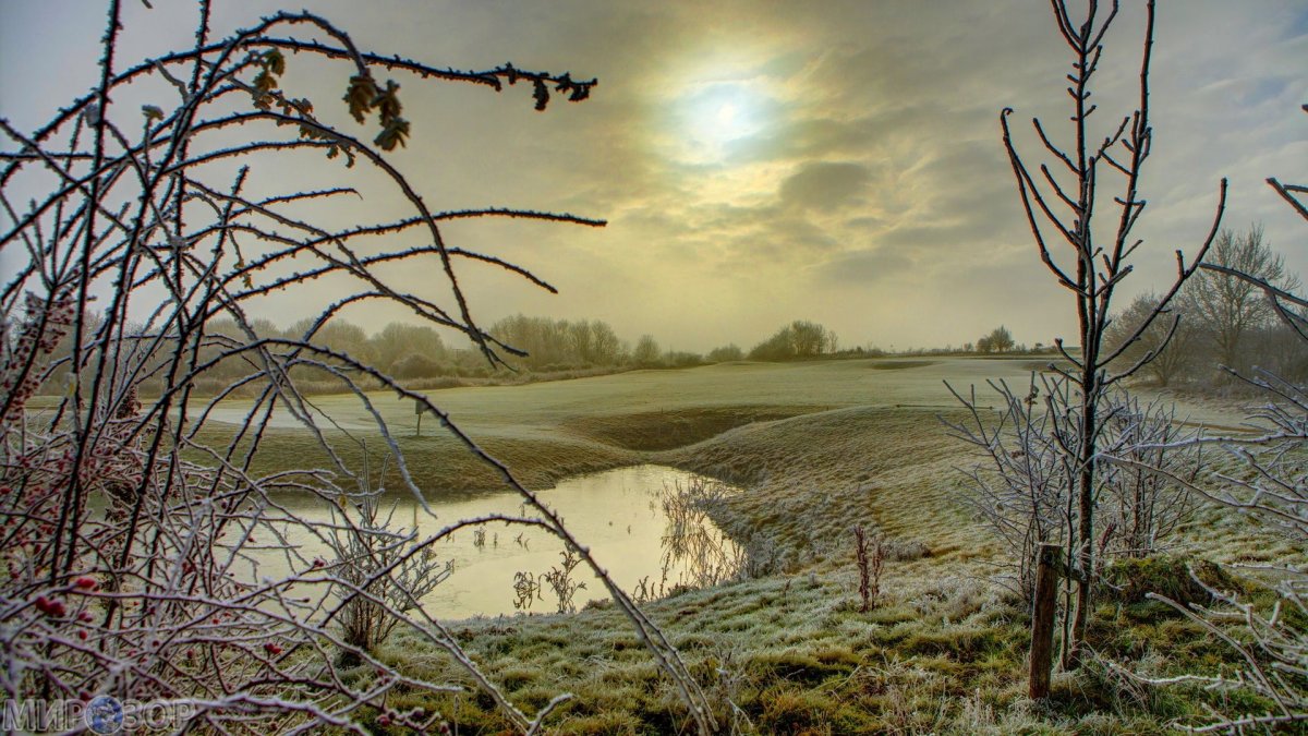 Поздняя осень у реки