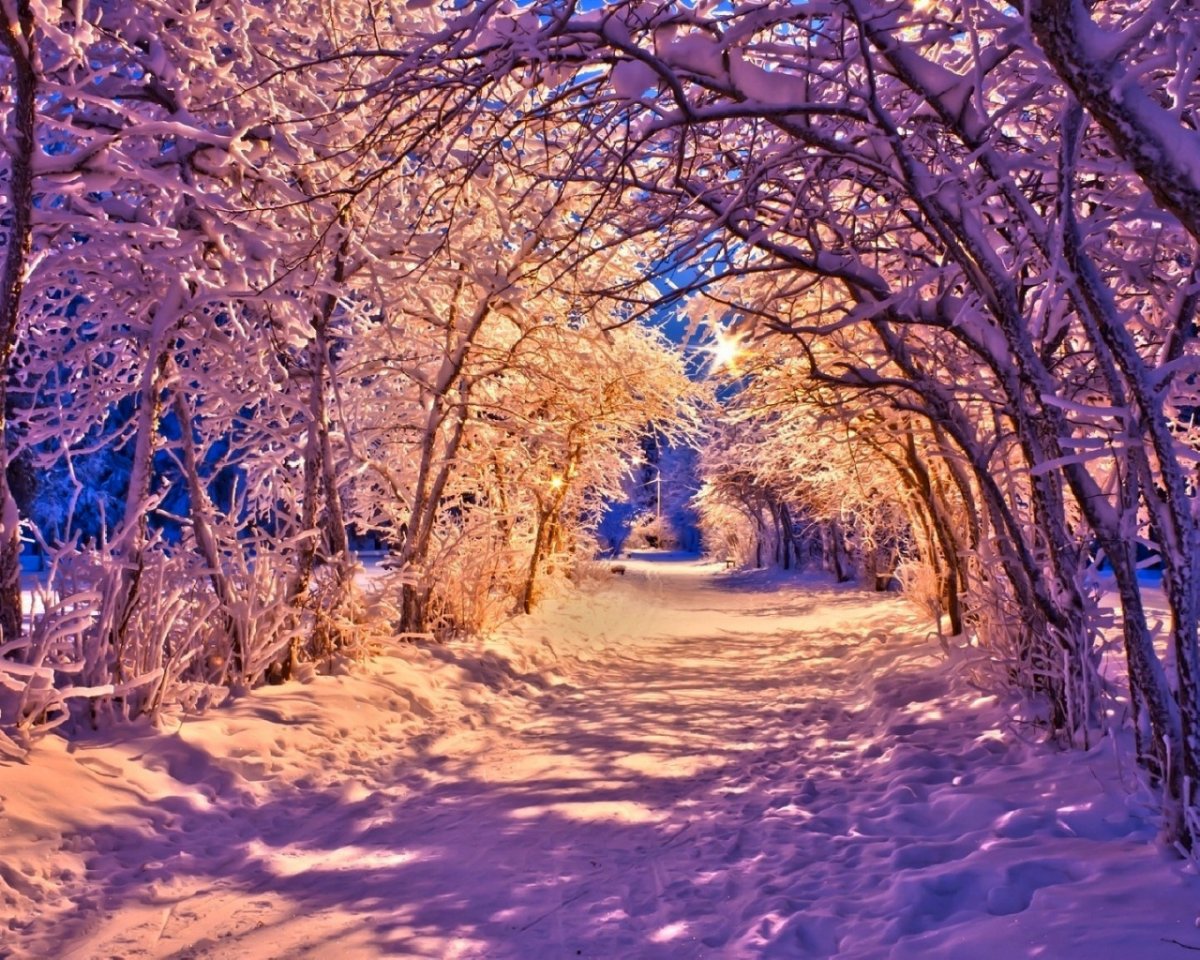 Зимняя сказка