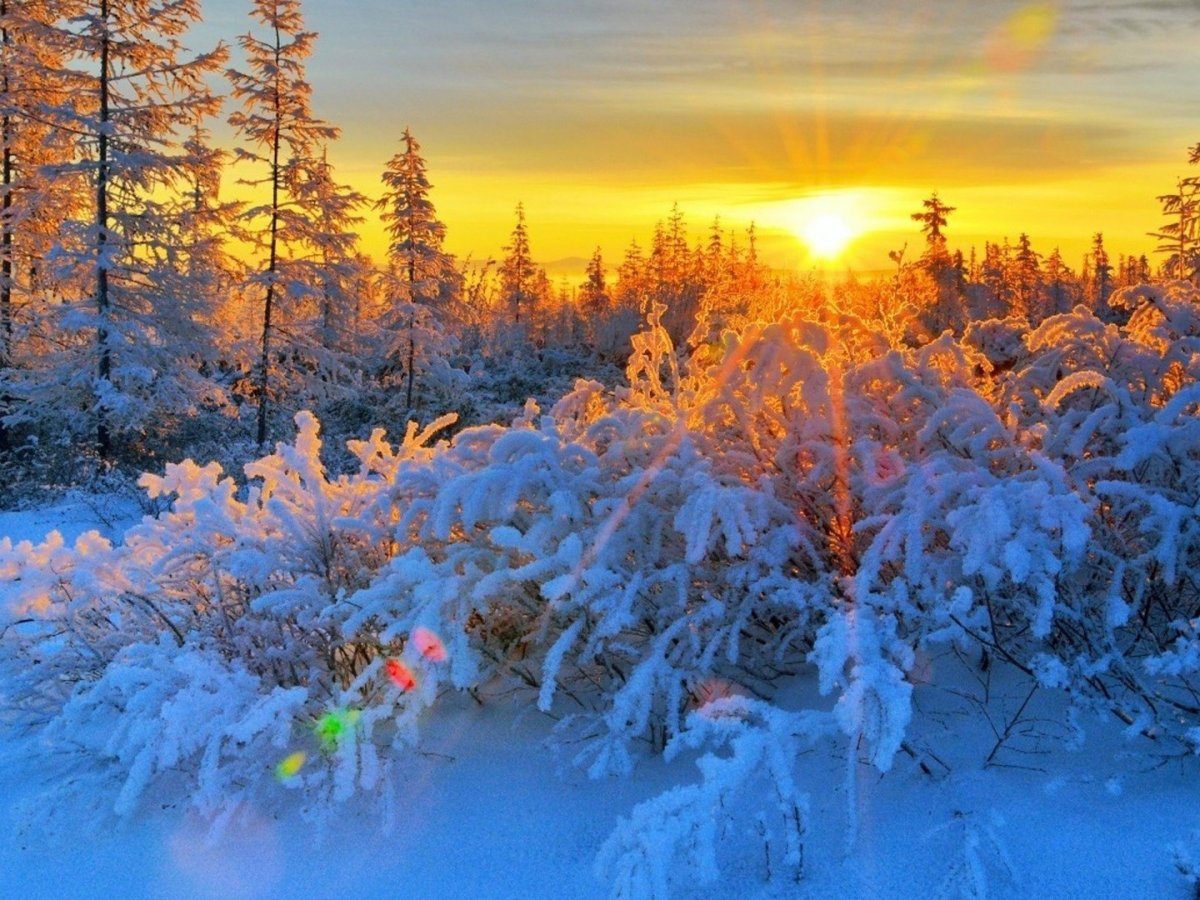 Морозное утро