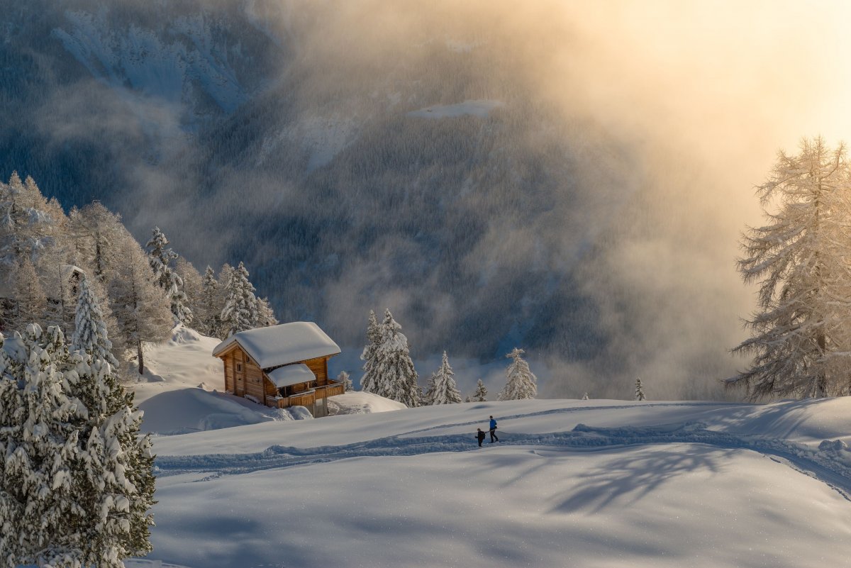 Одинокий домик в зимнем лесу