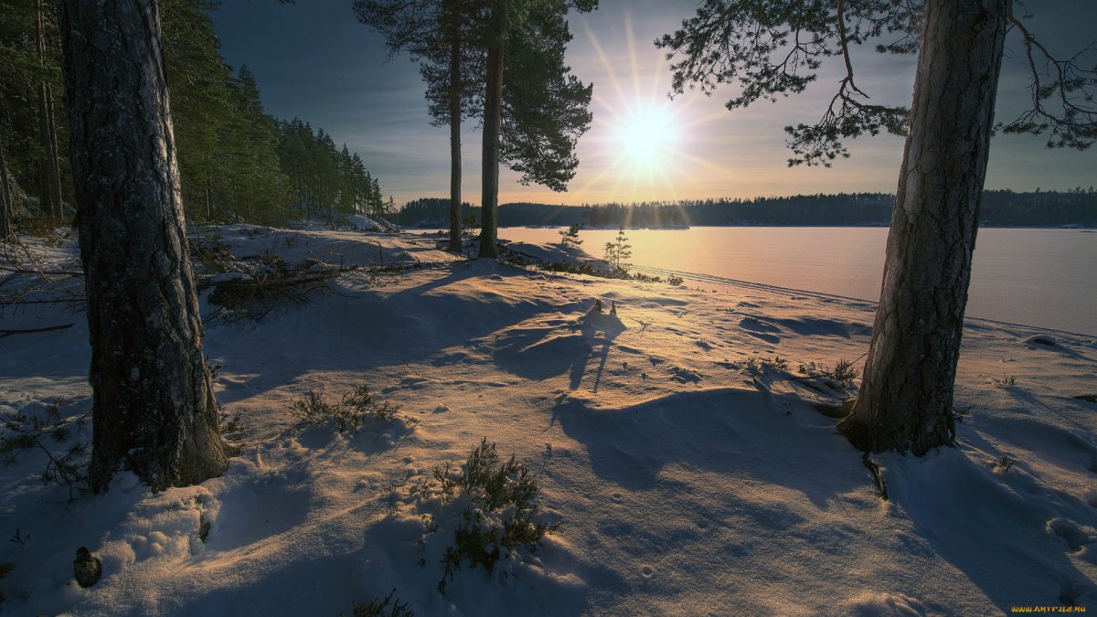 Зимняя рыбалка