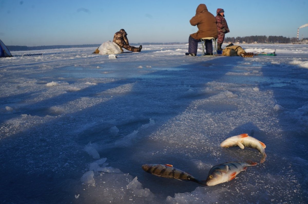 Шацкие озера зима