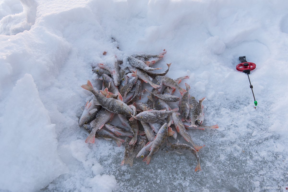 Лодка в море