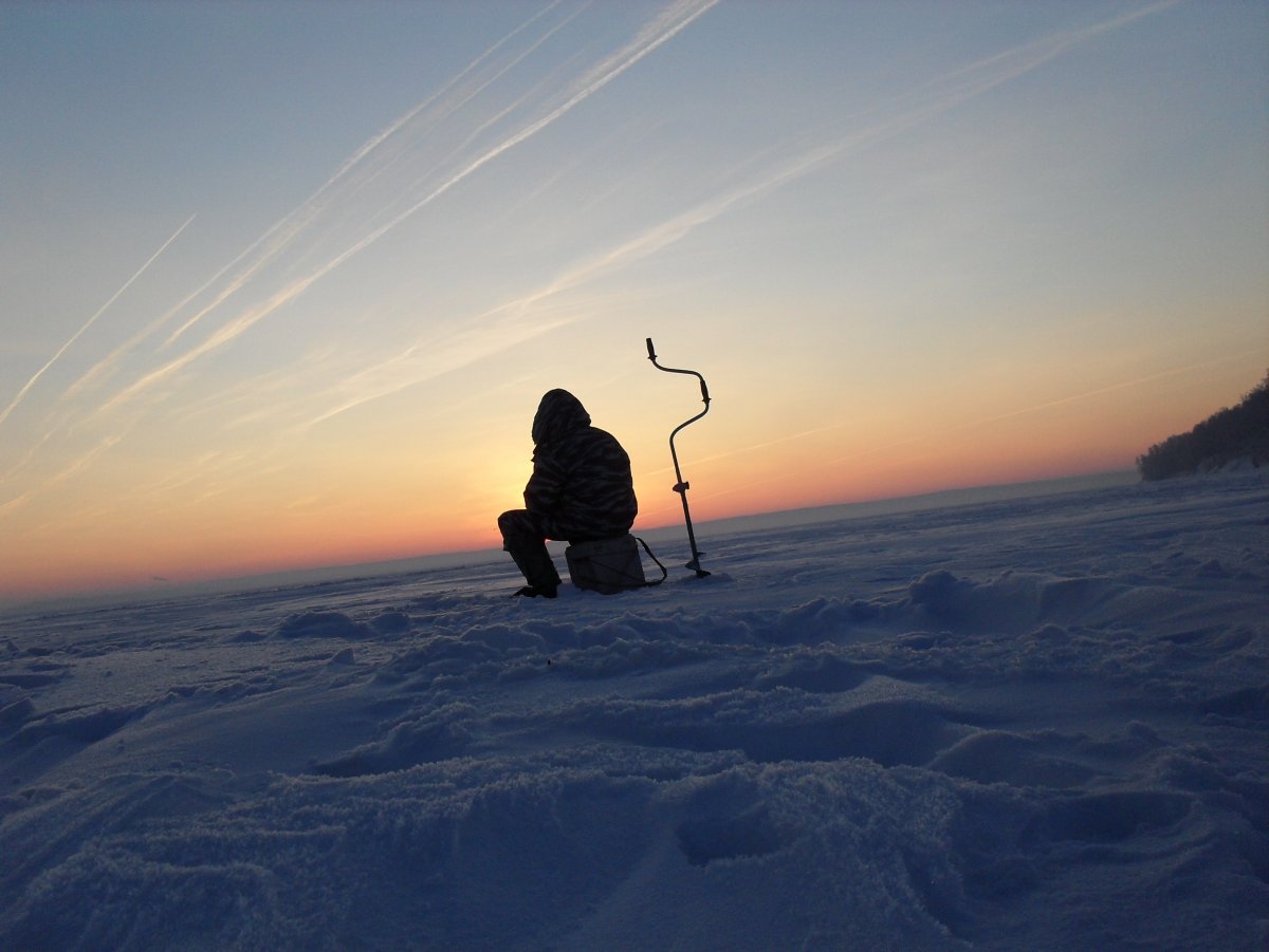 Снежная степь